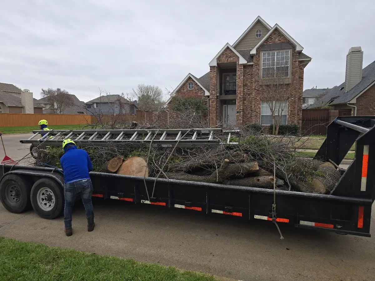 Expert Tree Removal with proper safety equipment in Bushnell